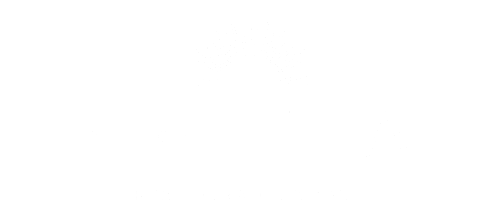 logo soletta